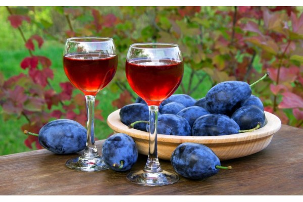 Готовим домашнее вино из сливы — быстро, вкусно, легко!